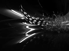 фото "LIGHTS"