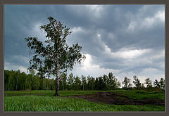 фото "Майский гром"