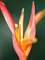 photo "the beneficient"