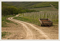 фото "Дорога в виноградники"