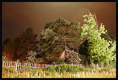 photo "***"