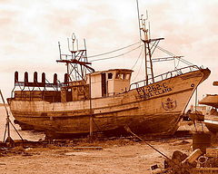 photo "Still waiting"
