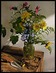 photo "Simple flowers in Coffee cupping glass"