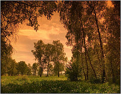 photo "Trinity"