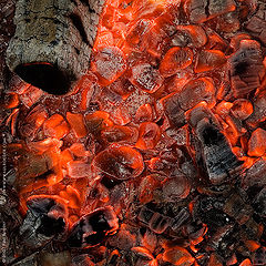 photo "Live Embers"