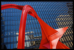 photo "Flamingo"