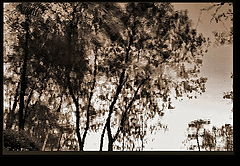 photo "***"