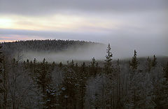 photo "Fog"