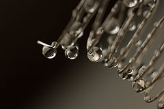 фото "Metallic Tears"