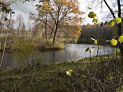 фото "Осень у речки"