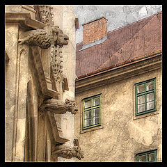 фото "Старая Вена"