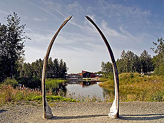 фото "Whale Jaw Bones"