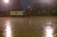фото "Rainy"