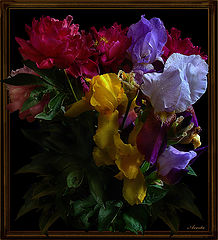 photo "bouquet"