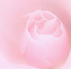 фото "Isabella"