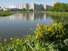 фото "industrial sea"