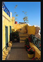 photo "OIA"