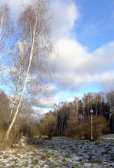 photo "***"