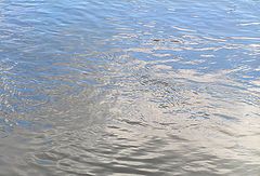 photo "Blue and grey"