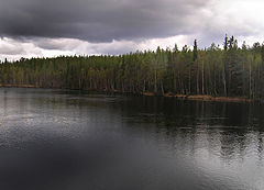 photo "Before the storm"