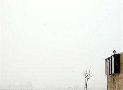 фото "Houses"