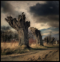 photo "***"
