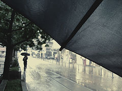 photo "My blue umbrella"