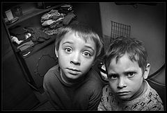 фото "Коммунальное братство.."