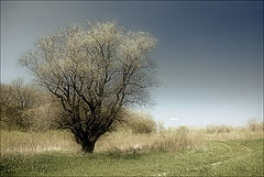 photo "No title"