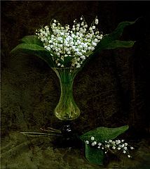 photo "***"