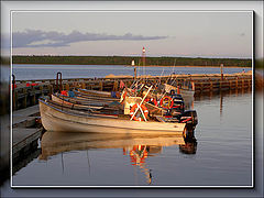 photo "Marina at sunset"