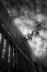 фото "Небо где-то рядом. Эпизод 3"