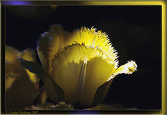 photo "Both day, and night"