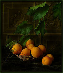 фото "Натюрморт с абрикосами"
