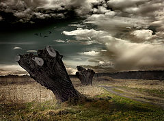 photo "no hands"