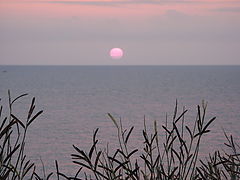 photo "***"