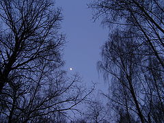 photo "***"
