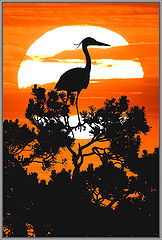 photo "At sunset."