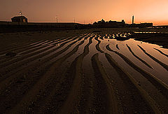 фото "The tide is low"