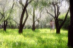 photo "Warm may"
