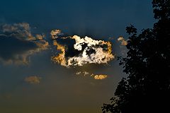 фото "Cloud of Gold"