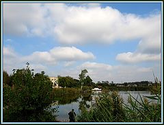 photo "Альбатрос."