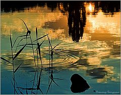 photo "***"