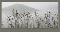 photo "A tale of fog"