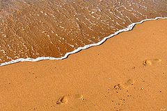 фото "In step from the sea"