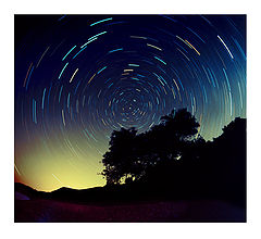 photo "Night"