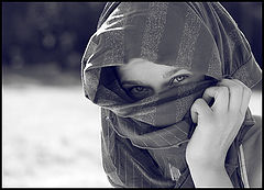 фото "Шай"