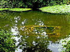photo "Day the boat sank"