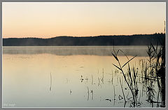 photo "***"