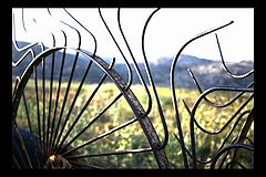 photo "the wheel of fortune"